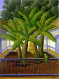 El-Patio